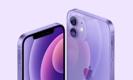 会昌苹果手机维修分享紫色版iPhone 12有什么技术亮点 